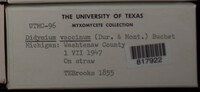 Image Associated With the Occurence
